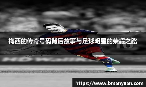 星空·综合中国体育